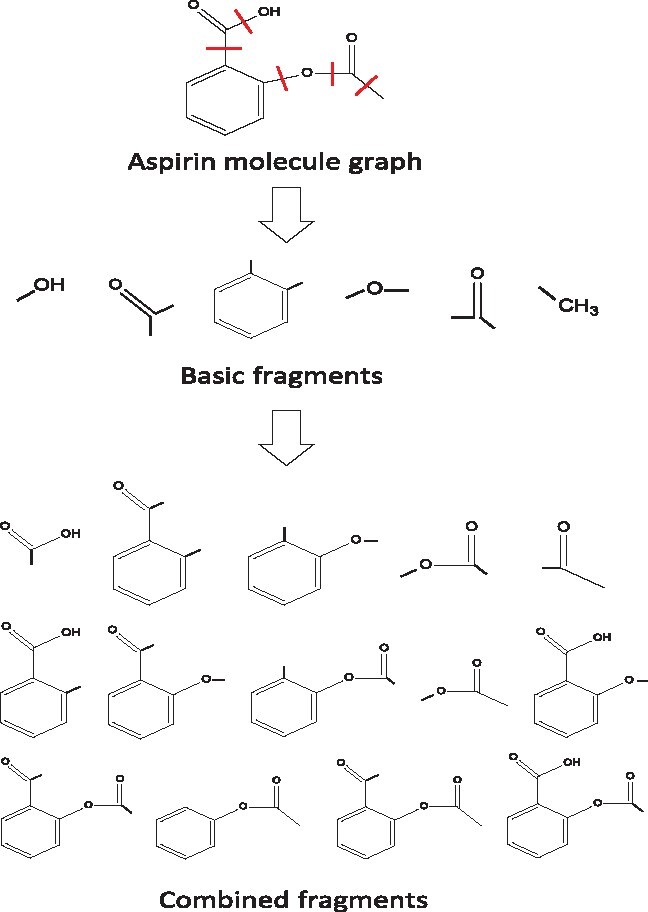 Fig. 1.