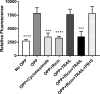 FIG 2