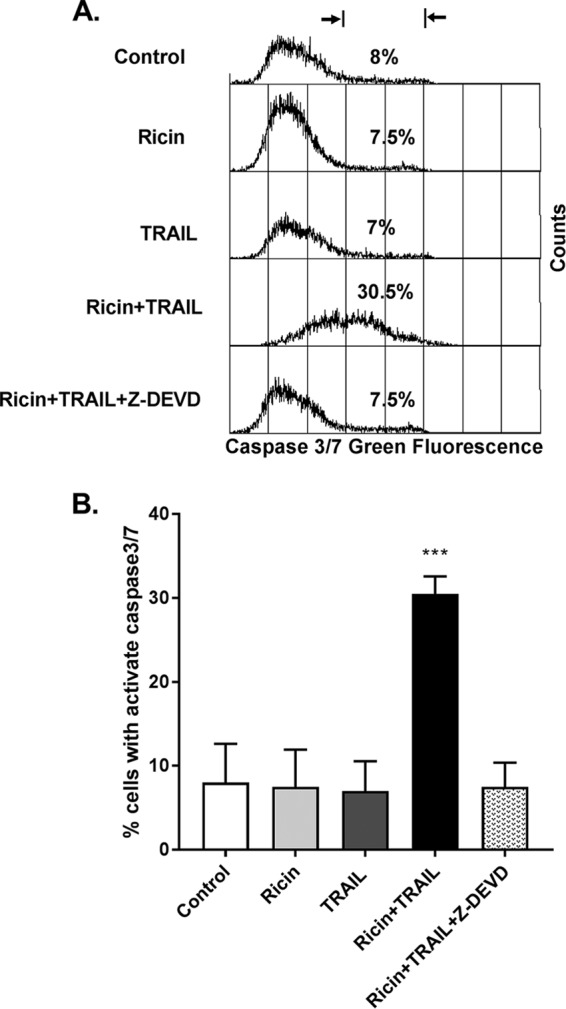 FIG 4