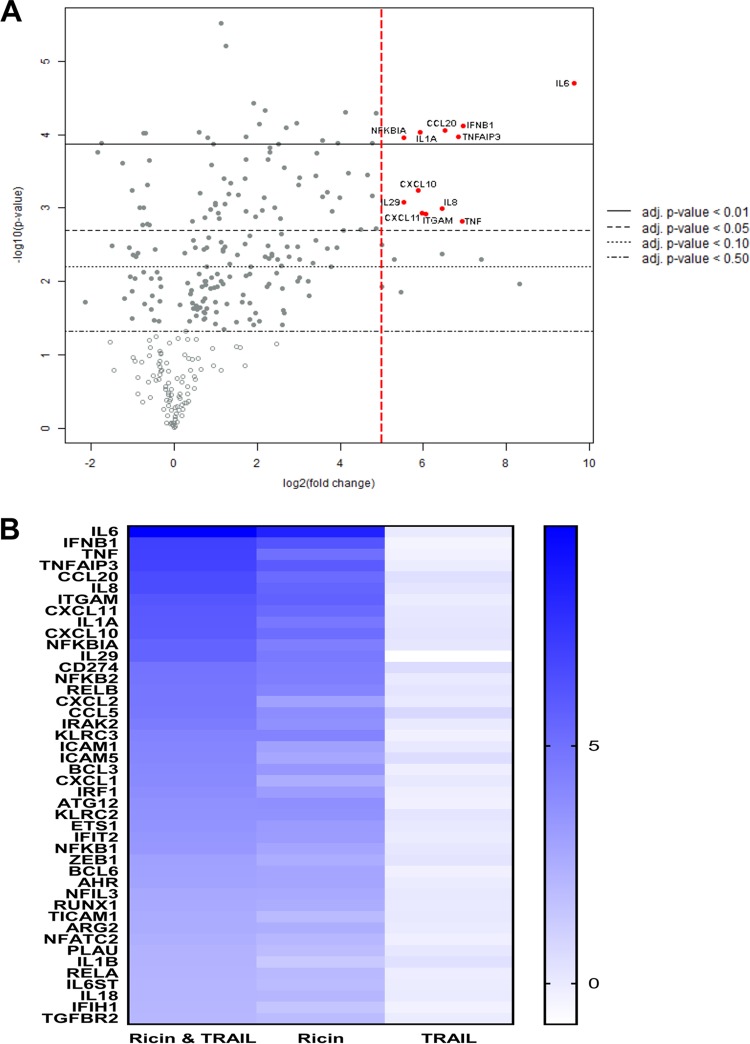 FIG 6