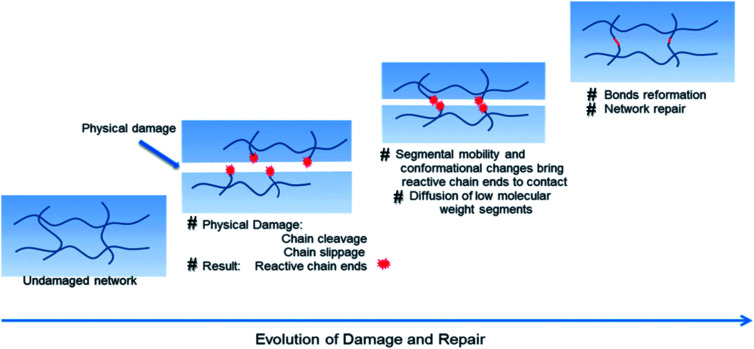 Advances In Intrinsic Self-healing Polyurethanes And Related Composites ...