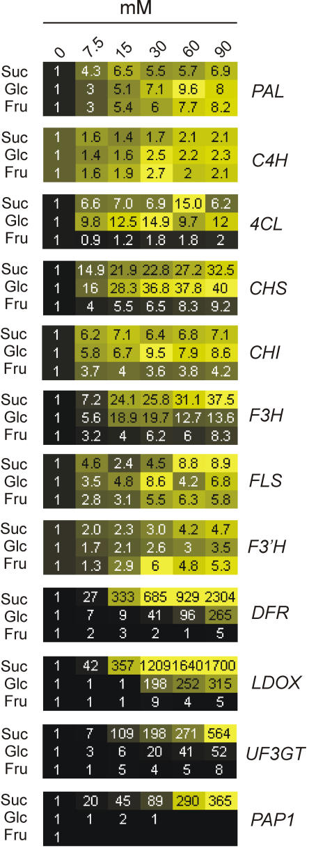 Figure 5.