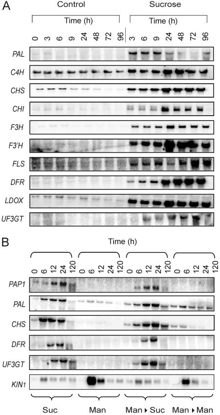 Figure 3.