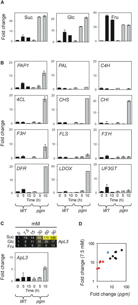 Figure 6.