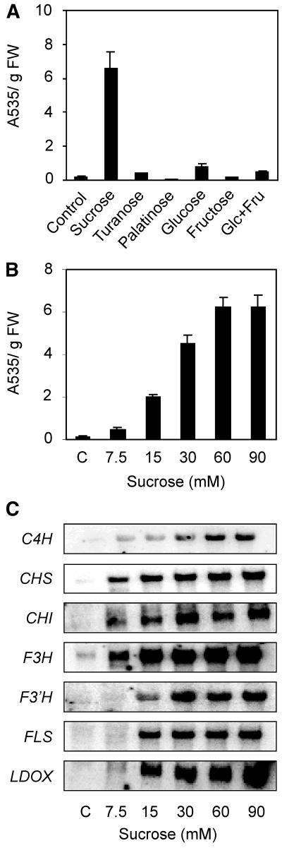 Figure 4.