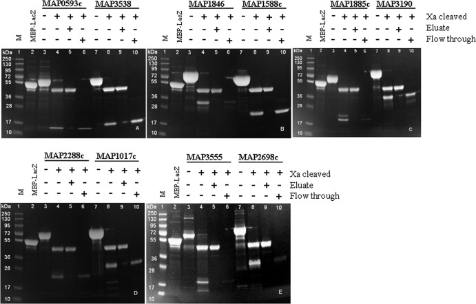 Fig 3