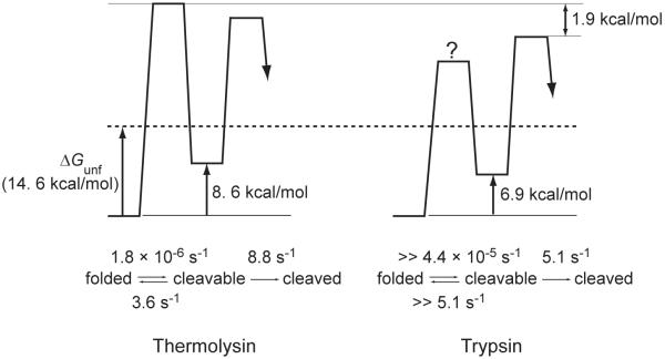 Figure 8