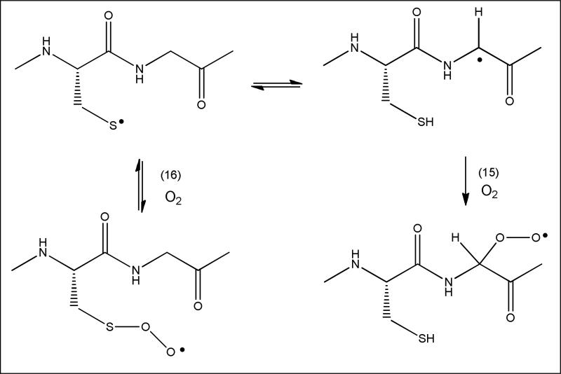 Scheme 3