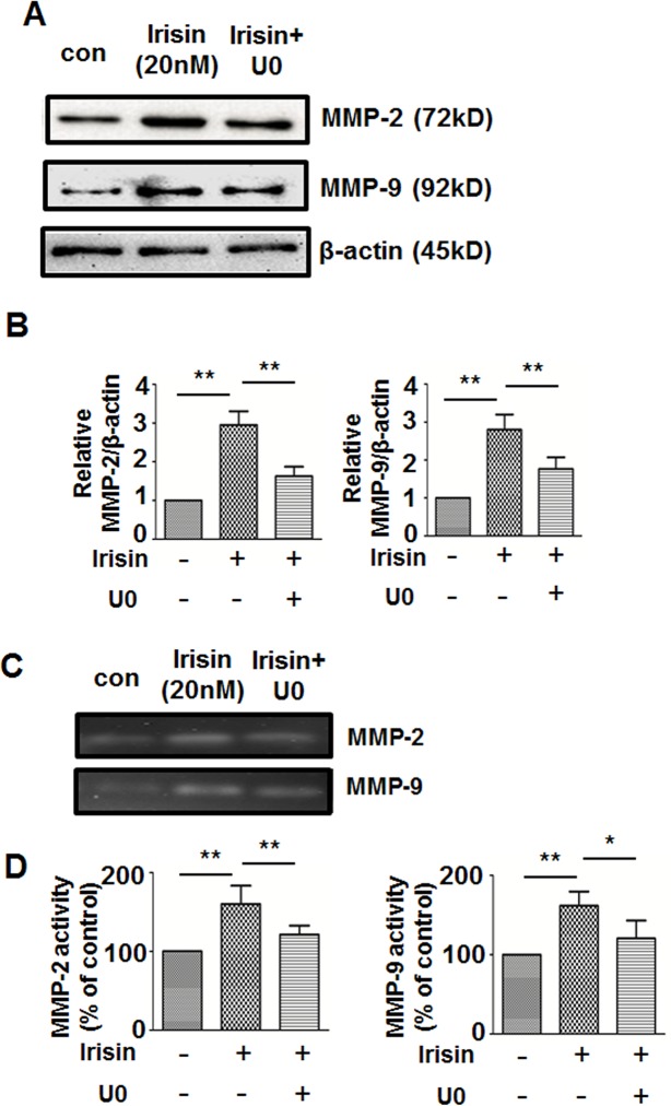 Fig 7