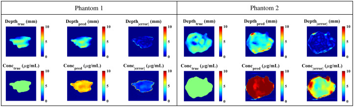 Fig. 10