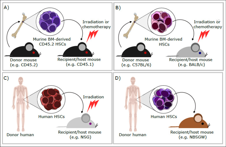 Fig. 2
