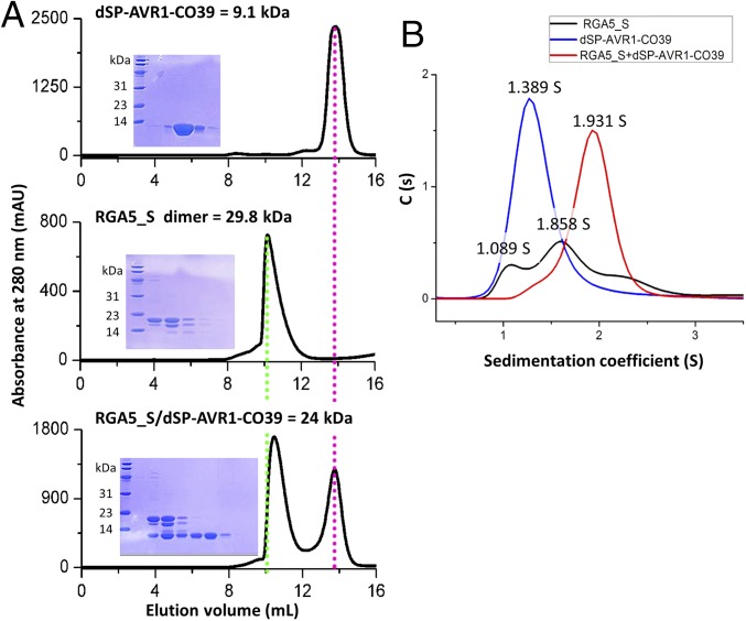 Fig. 2.