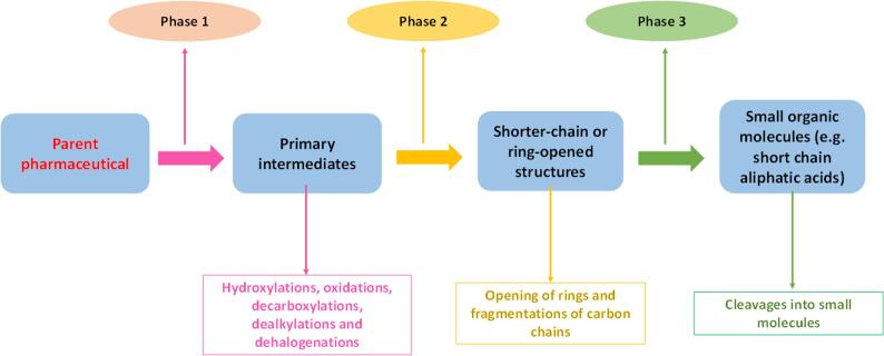 Fig. 13