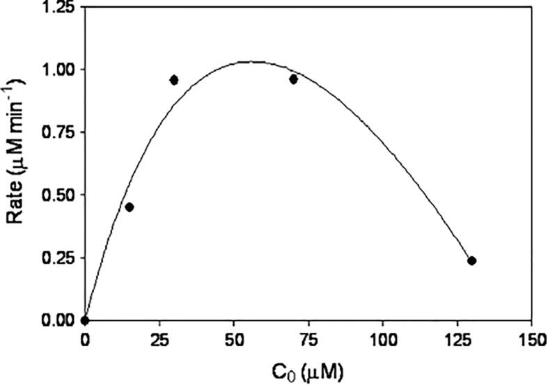 Fig. 10