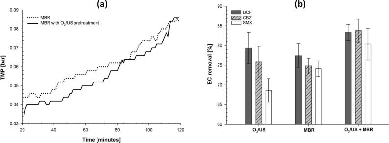 Fig. 19