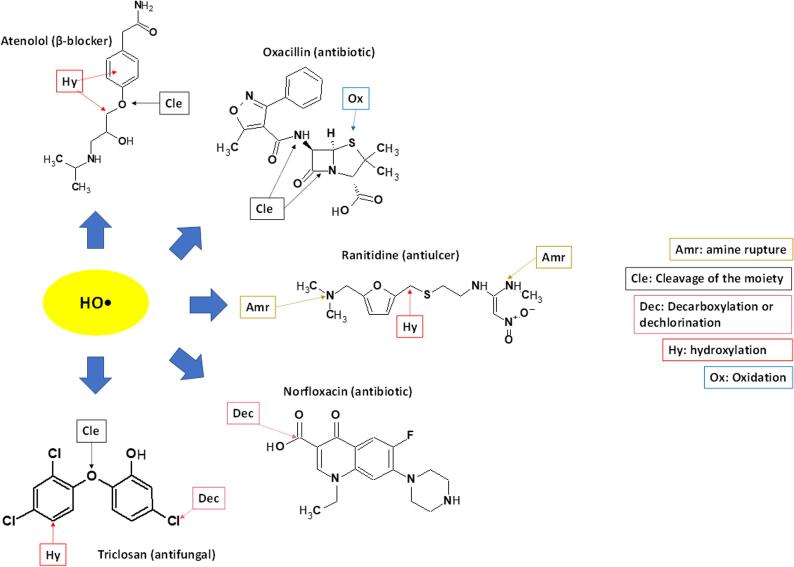 Fig. 12