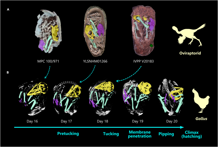 Figure 3