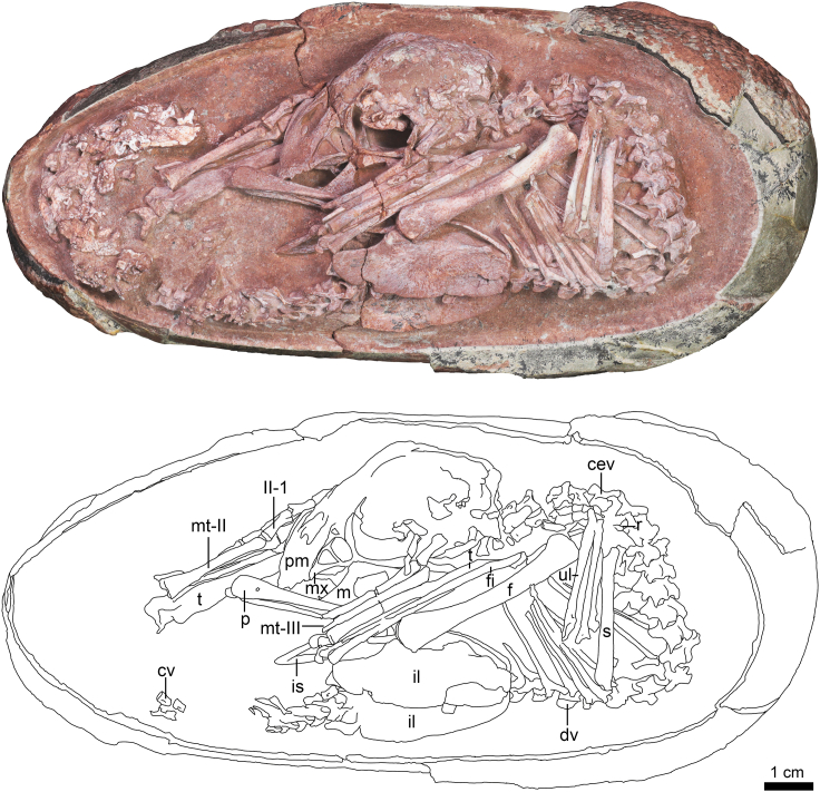 Figure 1