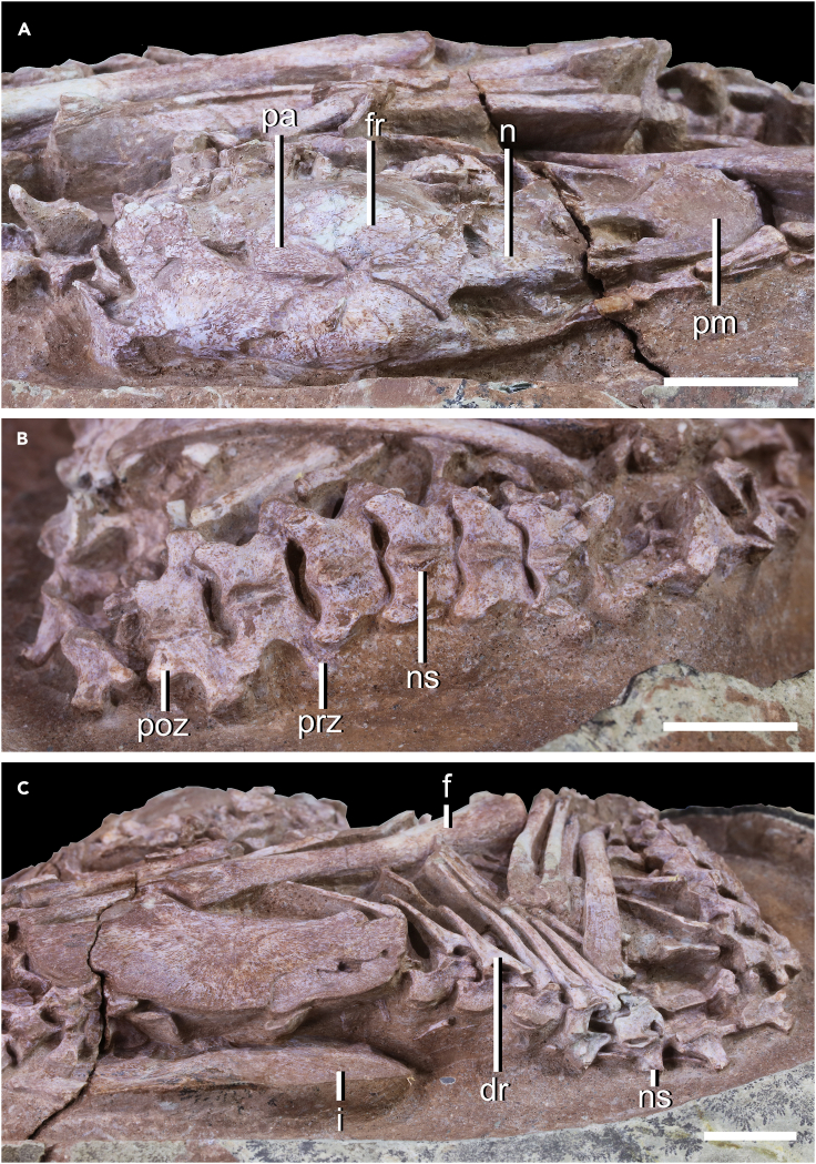 Figure 2