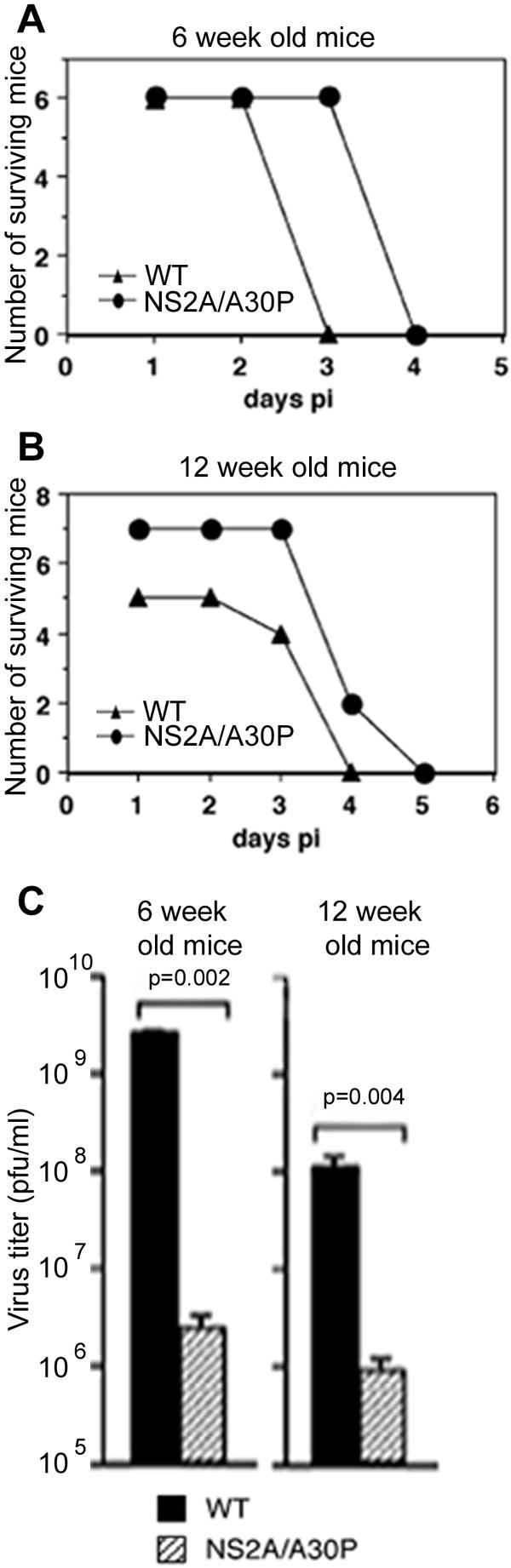 FIG. 5.