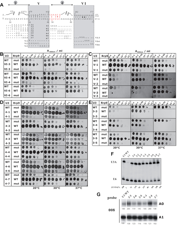 Figure 6.