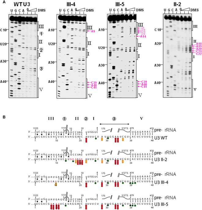 Figure 9.