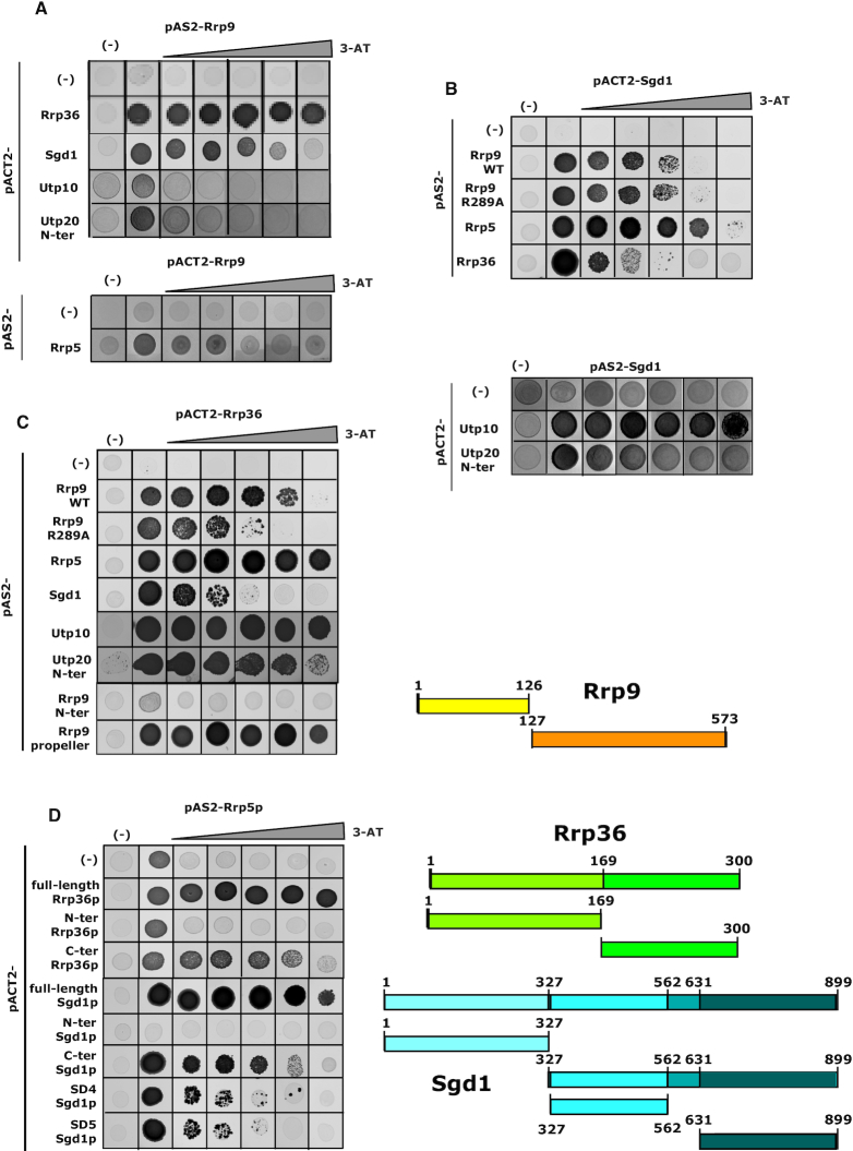 Figure 4.