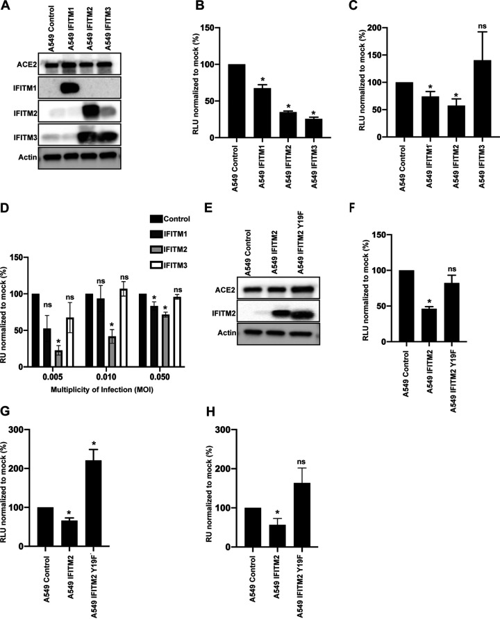 FIG 2