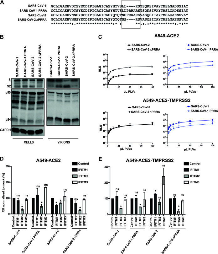 FIG 3