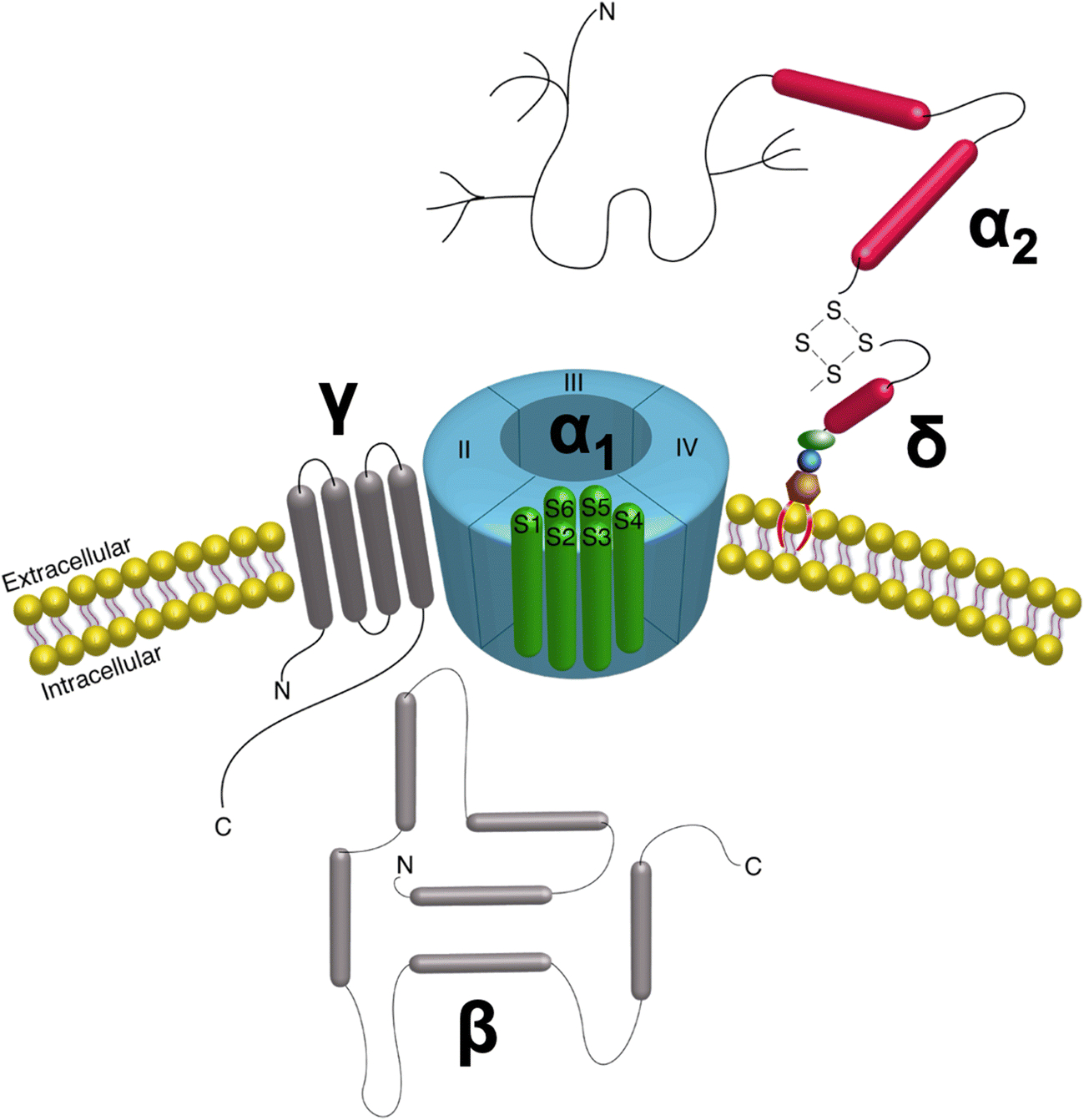 Fig 1.