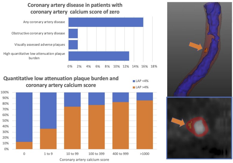 Graphical Abstract