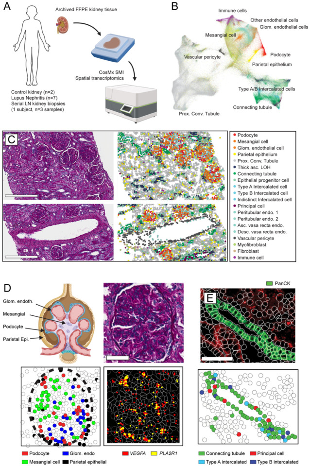 Figure 1: