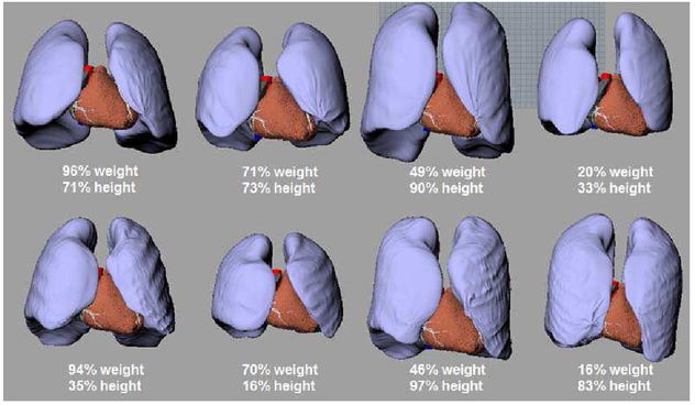 Fig. 9.