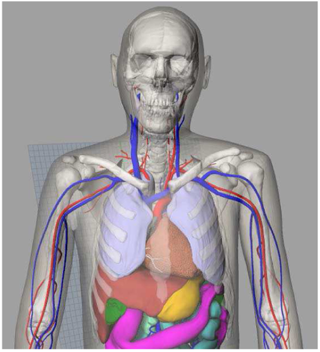 Fig. 5.