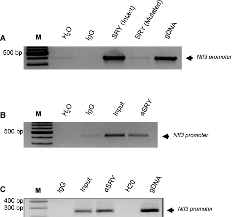 FIG. 5