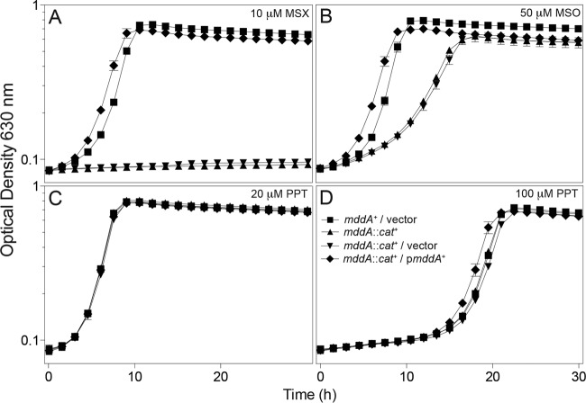 FIG 2