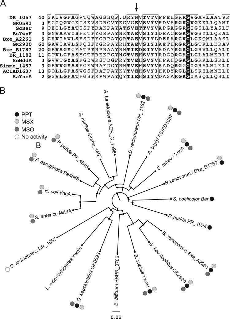 FIG 6