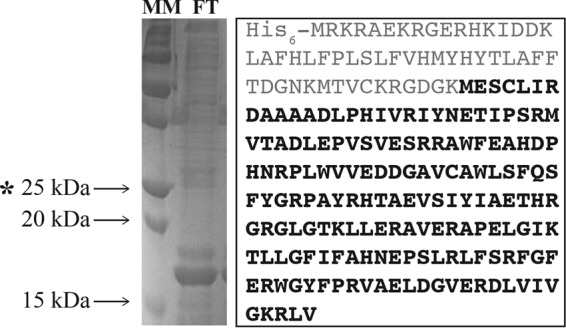 FIG 5