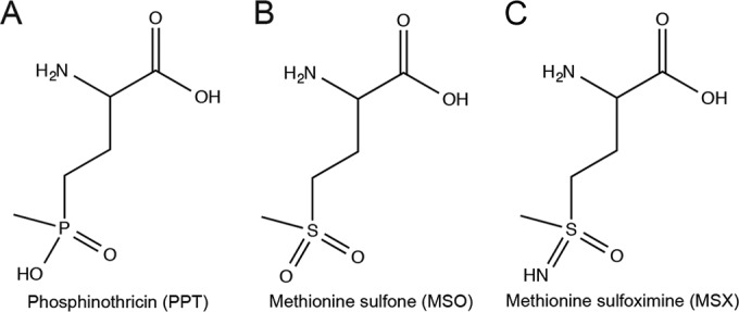 FIG 1