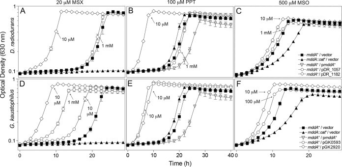 FIG 4