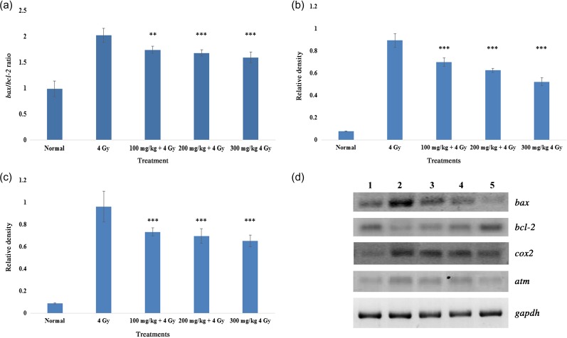 Fig. 8.