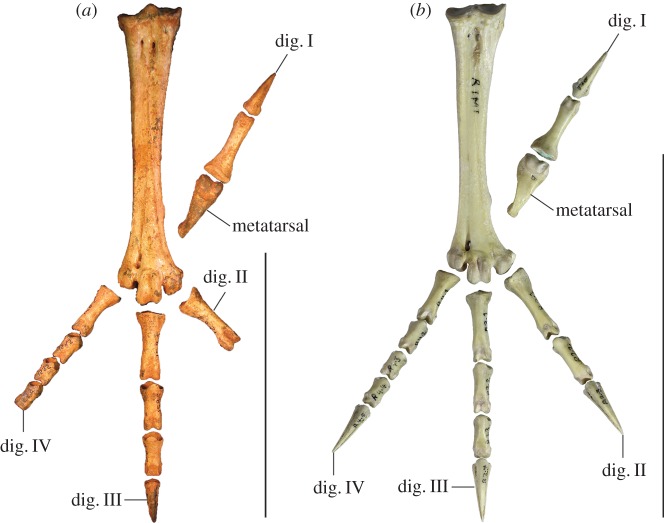 Figure 11.