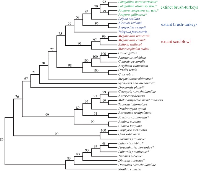 Figure 23.