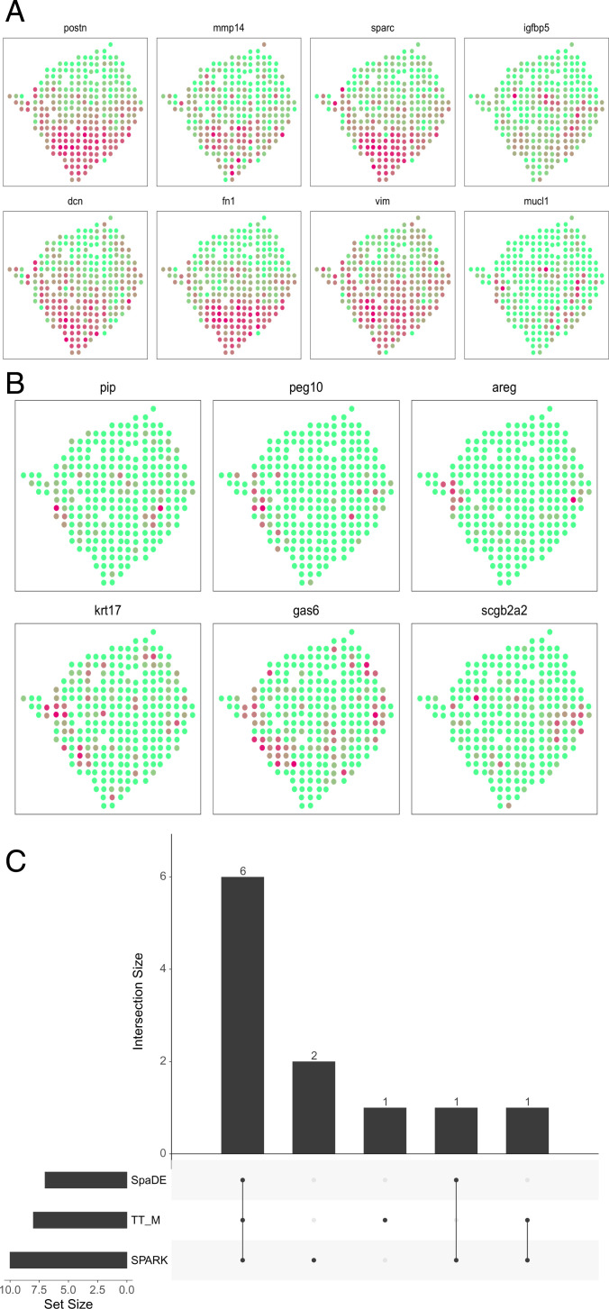 Fig. 10.