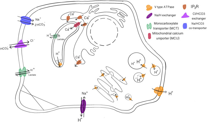 FIGURE 2