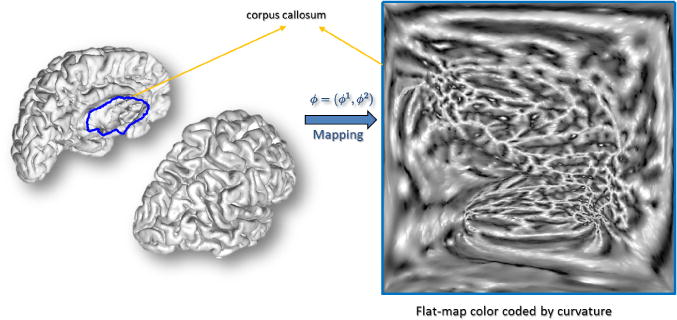 Fig. 3