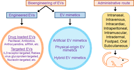 graphic file with name nihms-1055567-f0003.jpg