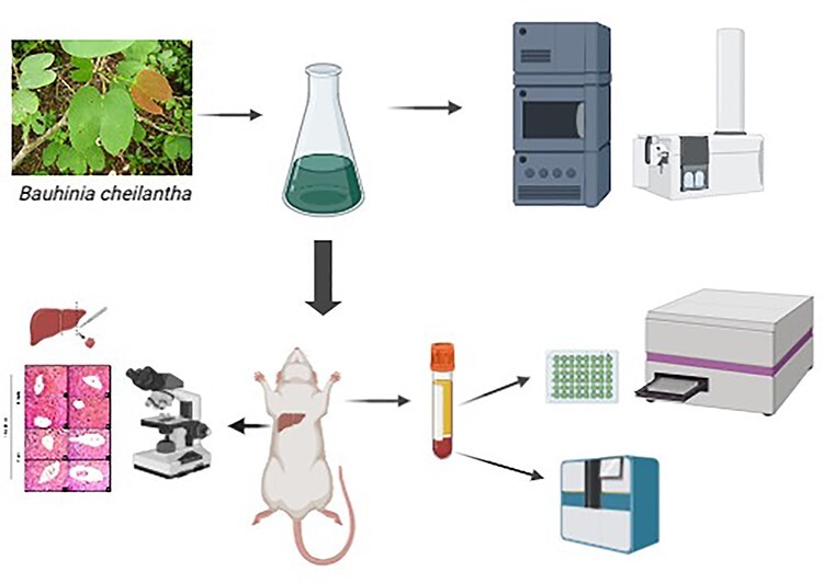 graphic file with name tfab044ga.jpg