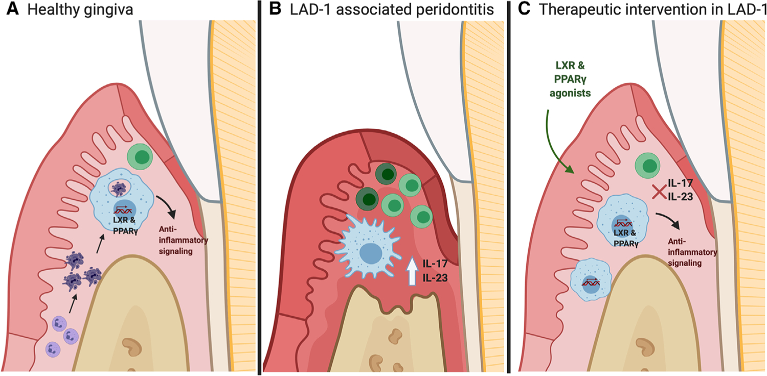 FIGURE 1: