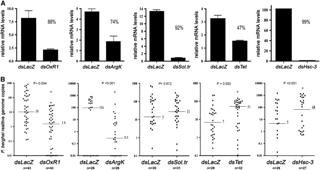 Figure 2.—